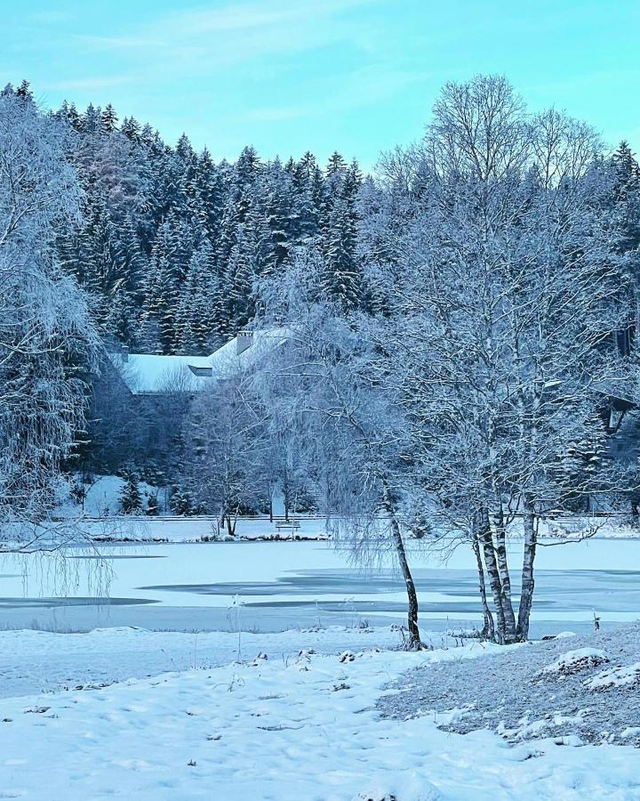 Lakeside Apartments Seefeld Seefeld no Tirol Exterior foto